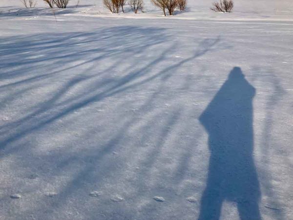 簡単スノーシューデイキャンプ_広い雪原に映る影