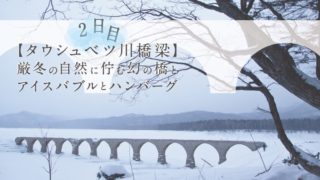 【タウシュベツ川橋梁】厳冬の自然に佇む幻の橋とアイスバブルとハンバーグ旅-2日目